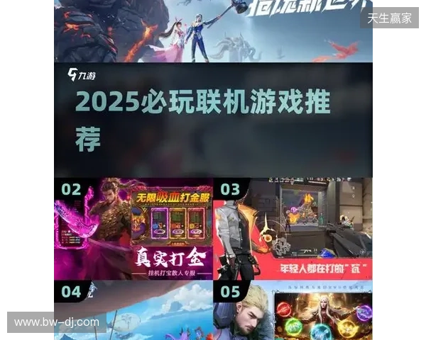 2025年联机游戏加速软件横评：谁是玩家流畅联机终极之选？